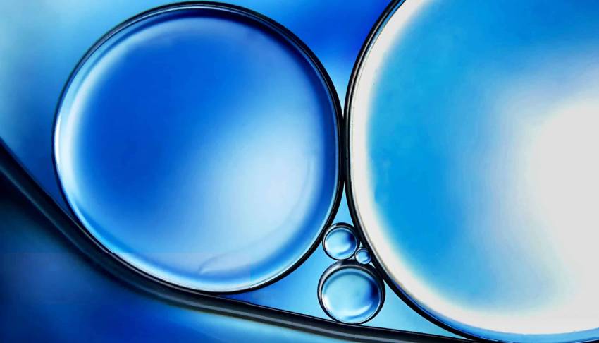 茂港区包装设计